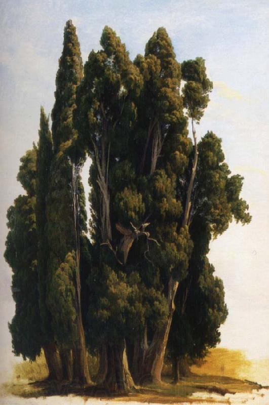 Gustaf Wilhelm Palm Cypresser Student Norge oil painting art